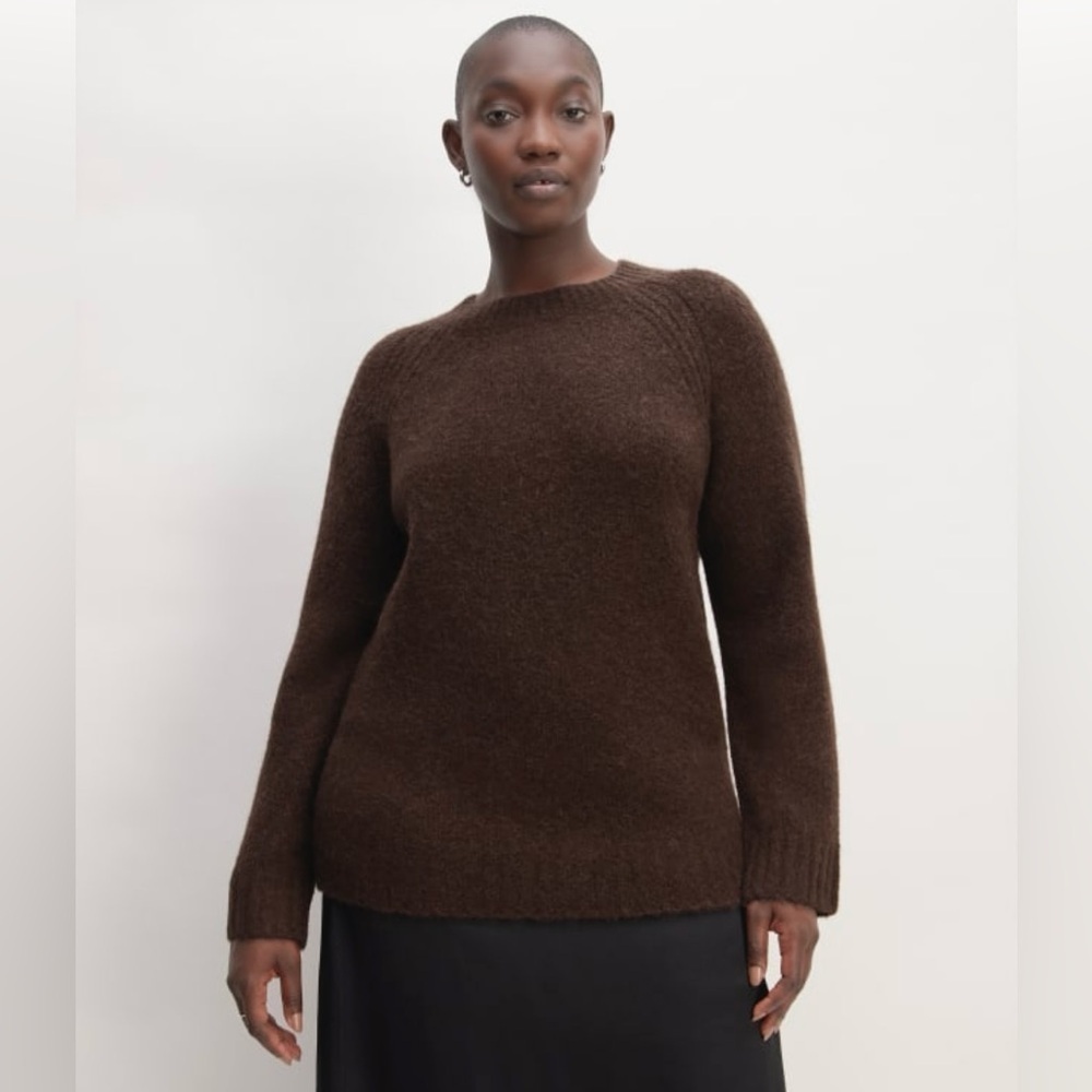 Everlane The Super Fuzz Alpaca Crew Neck Sweater Wool Blend Hot Fudge NWT